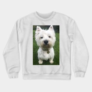 Westie Crewneck Sweatshirt